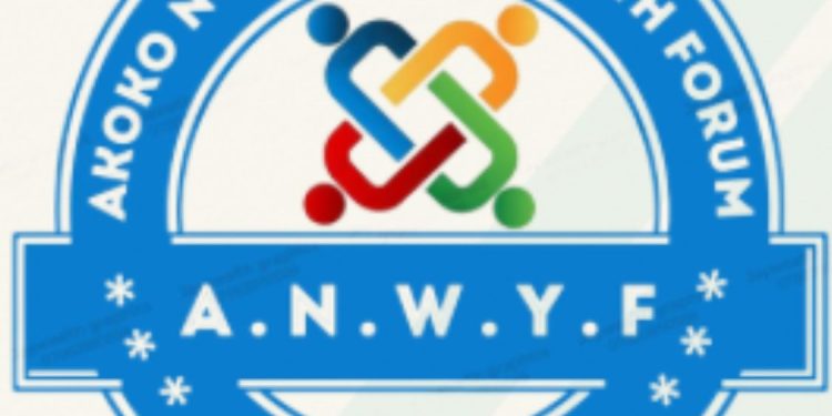 We Are Not Aware Of Any Youth Election – Akoko North West Youths | TheCity 