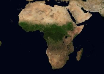 Revealed: Heavy Rainfall returns Green Plant life to the Sahara Desert | TheCity 