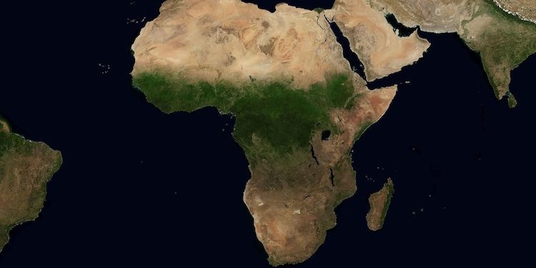 Revealed: Heavy Rainfall returns Green Plant life to the Sahara Desert | TheCity 