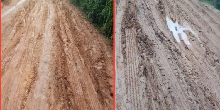 Road Projects: Help us repair Ese Road – Akoko Students beg Aiyedatiwa | TheCity