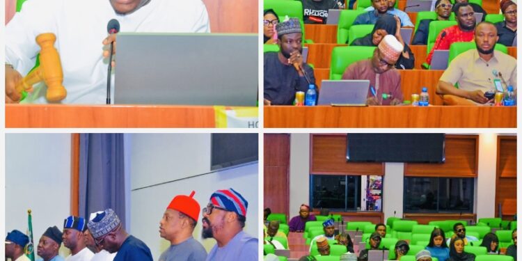 Reps Launch Probe Into Alleged Abuses in Scholarship Payments to Nigerian Students Abroad | TheCity