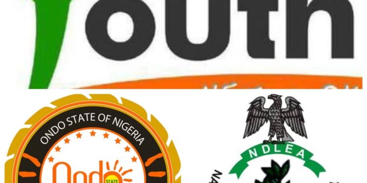 Drug Abuse: Put more effort in the battle to eradicate drug abuse — Ondo State youths charge government | TheCity