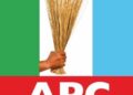APC Disowns Alleged N200m Nomination Form Fee for 2027 Elections, Labels Report Fake | TheCity