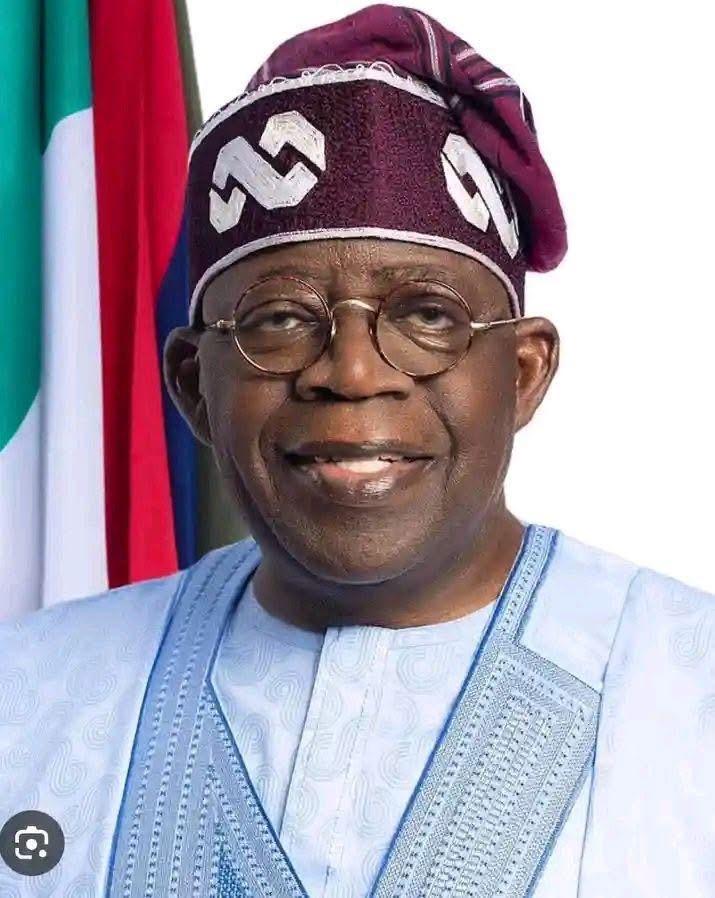 APC Group Alleges Plot by Some Governors to Weaken Tinubu’s Influence | TheCity