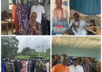 Owa of Ogbagi Endorses Aribisala, Offers Royal Prayers for APM Assembly Candidate, Aribisala | TheCity